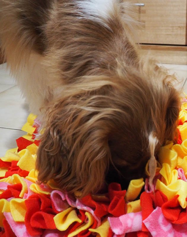 nikmacd's tweet image. Blogpost Saturday :)
tinyurl.com/y35zpdpg