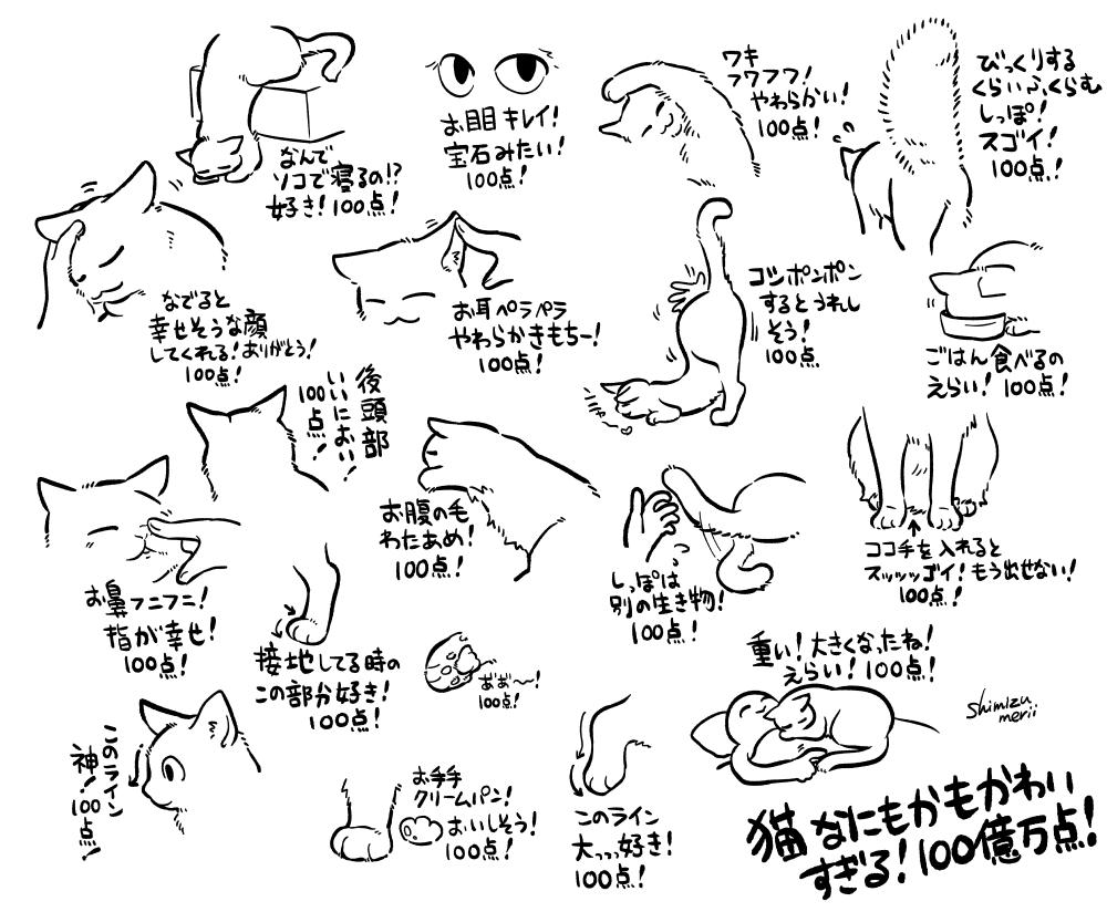 猫さんは何もかもがかわいすぎる 好きなポイントや瞬間を描いたイラストに共感が止まらない どのお姿も行動も最高100億万点 Togetter