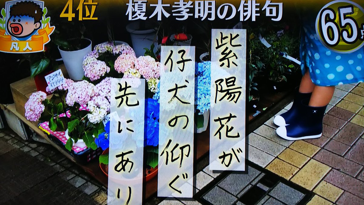 プレバト 俳句 紫陽花 Twitter Search プレバト 俳句 紫陽花 Twitter Search