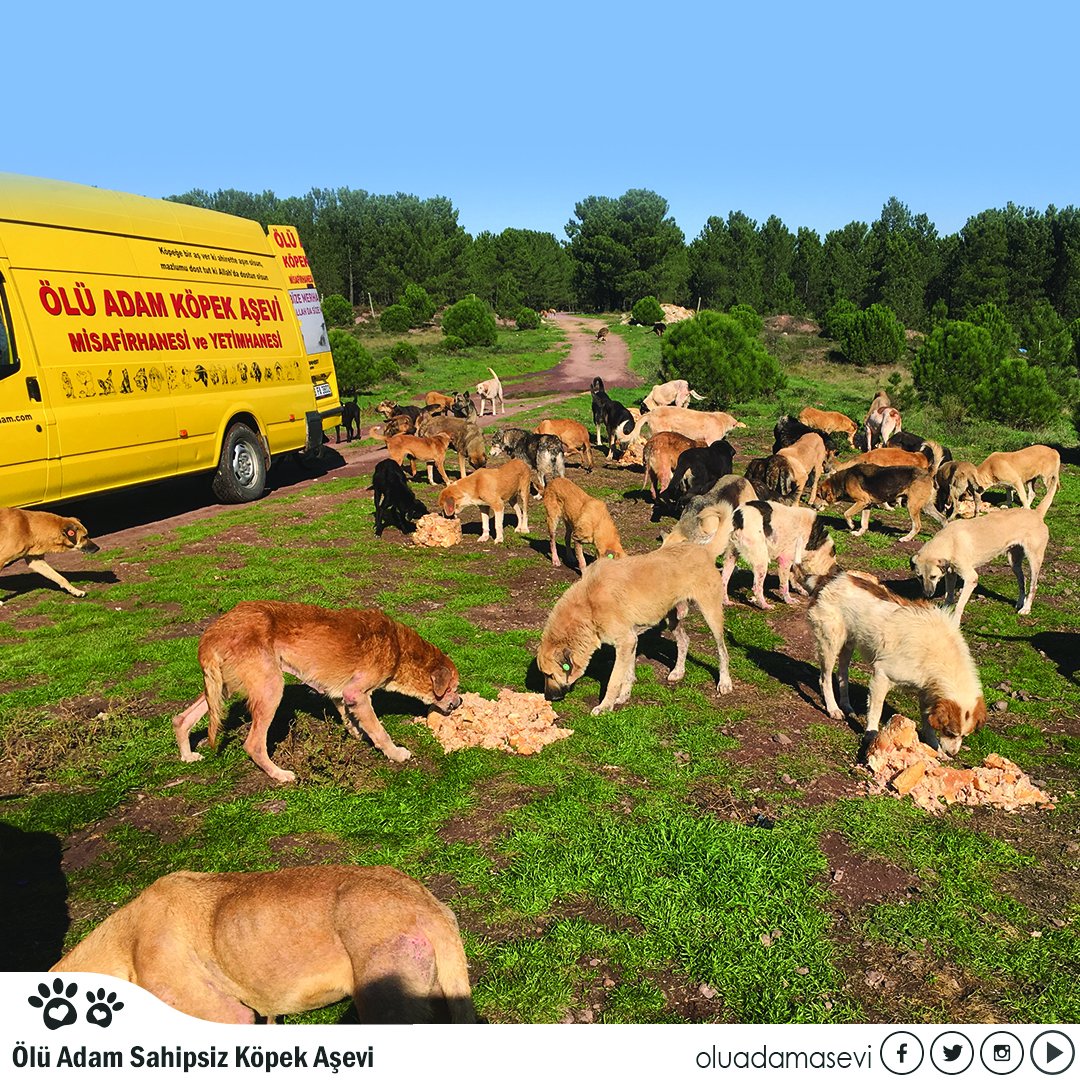 Bir cumartesi sabah kahvaltısı. 🐾😊