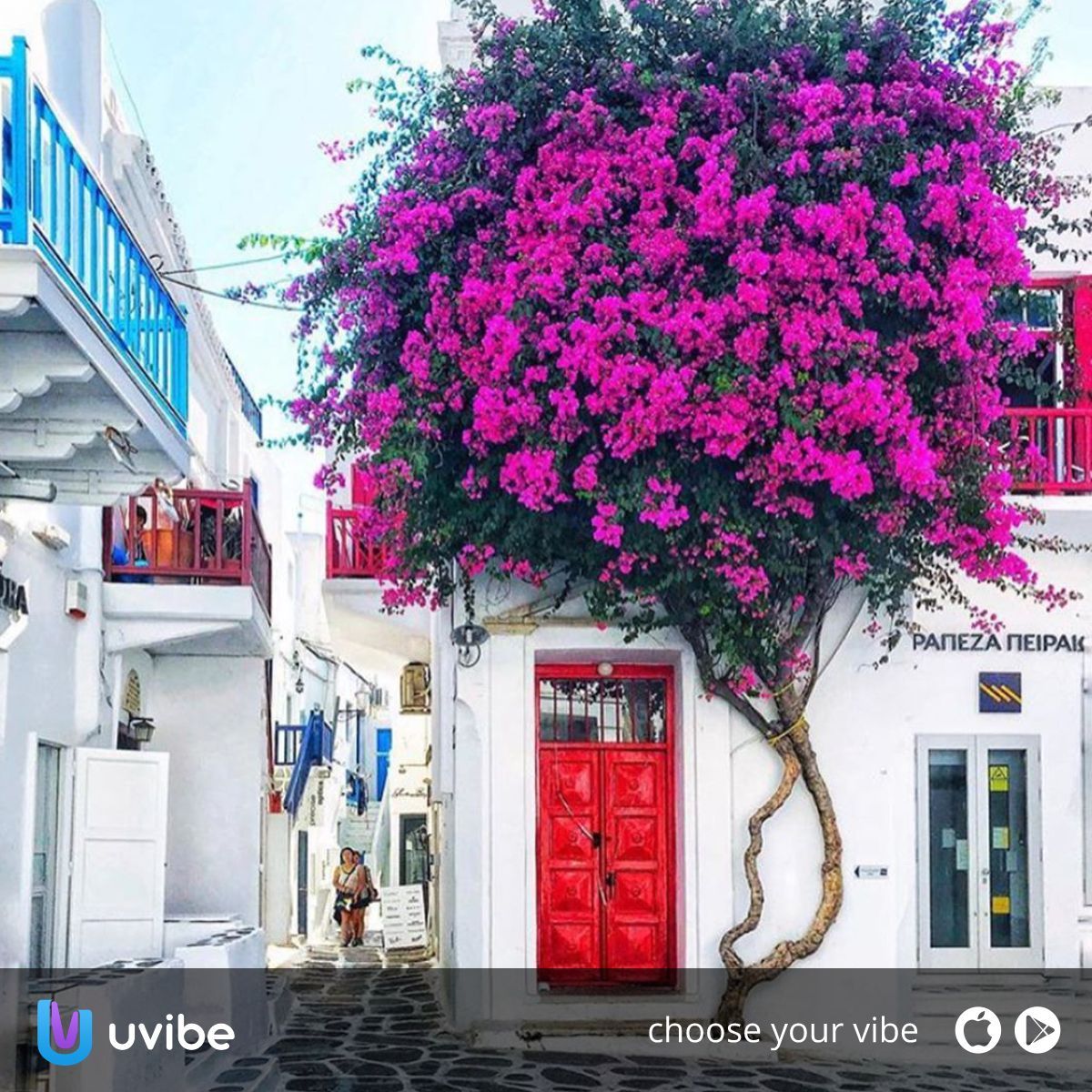 Greece seems to be the perfect Paradise. 💜 Get uVibe and discover all the fun that Greece has to offer. Get the app ➡️ buff.ly/2W9KUdA
#greece #greece_nature #great_captures_greece #love_greece #syros #athensvoice #gf_greece #travel #besthotels #luxury #lifestyle