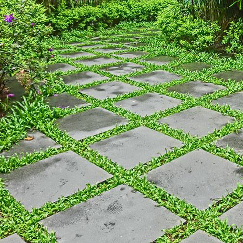 De beste remedie tegen groen tussen de tegels is: de tegels verwijderen NIET het groen! @OpSteenbreek