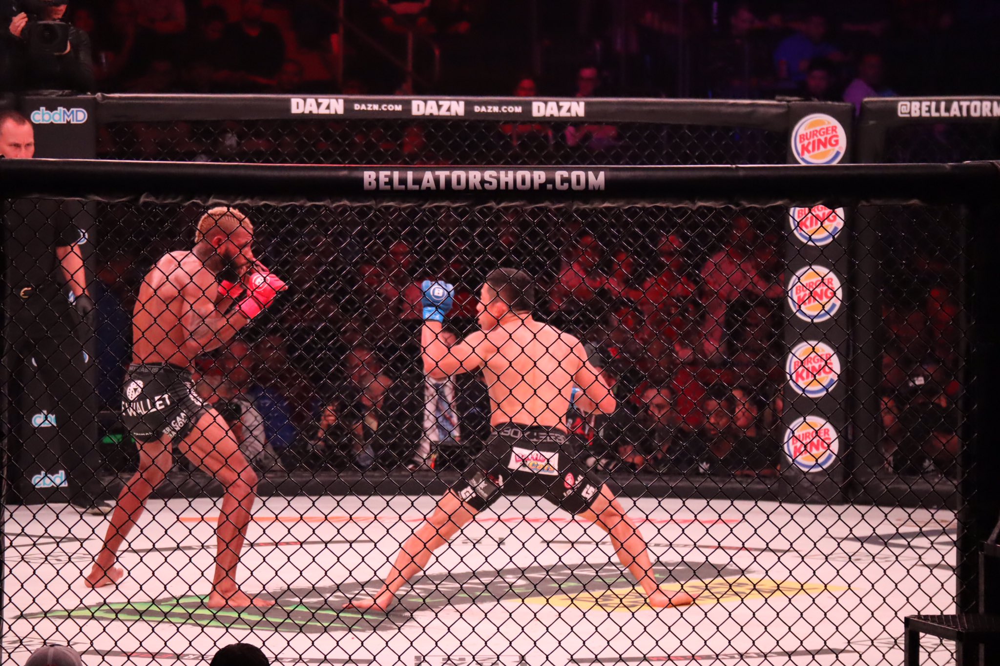 ⭕️激レア⭕️ BELLATOR MMA 白グローブ 堀口恭司 非売品 Bellator295