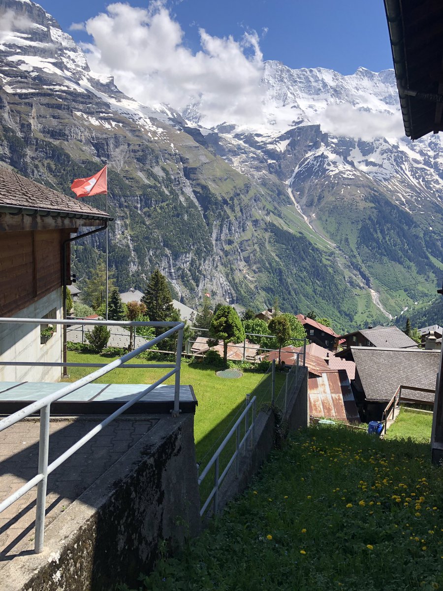 Martin Day tweet media