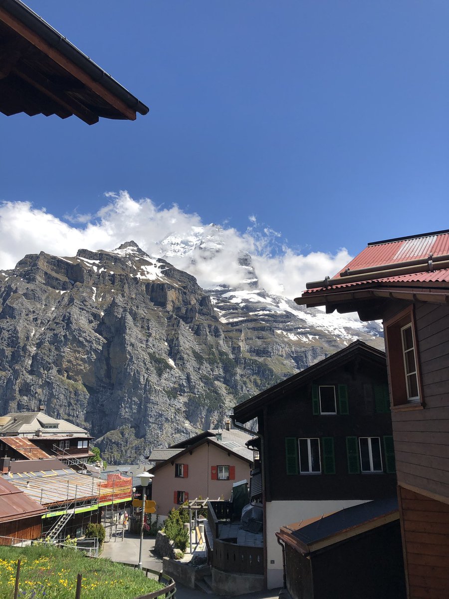 Martin Day tweet media