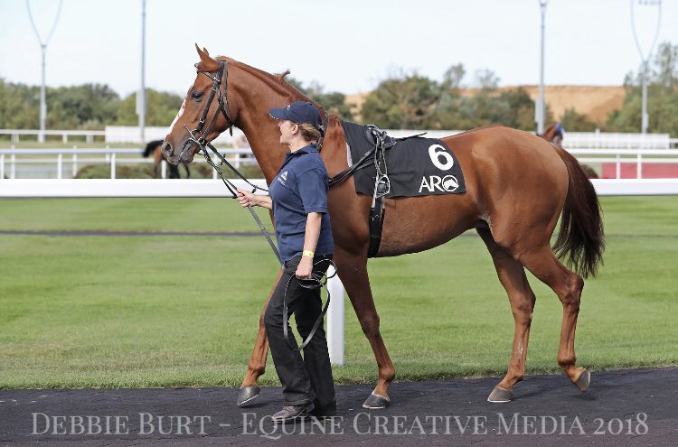 The Arabian Racehorse tweet media