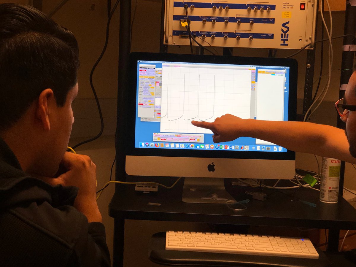 AranedaLab (@aranedalab) on Twitter photo Graduate student Pablo Villar teaching the future generation of electrophysiologists. <a href="/MBLScience/">Marine Biological Laboratory (MBL)</a> <a href="/MblNeuro/">Neurobiology Course</a> #NeuroBio2019 Graduate student Pablo Villar teaching the future generation of electrophysiologists. <a href="/MBLScience/">Marine Biological Laboratory (MBL)</a> <a href="/MblNeuro/">Neurobiology Course</a> #NeuroBio2019