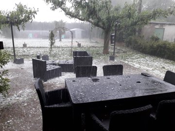 Ver imagen en Twitter