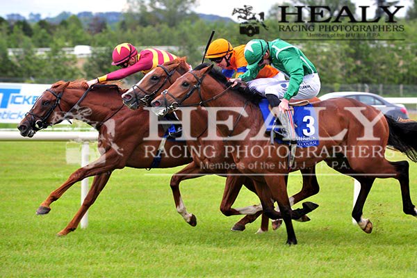 WJHJT's tweet photo. CROSSFIREHURRICANE @CrosseShane (far side) win the @IrishEBF_ Maiden for @uscgatsby @JosephOBrien2 @LimerickRaces see all the action on https://t.co/ISosOI05hQ https://t.co/UEY53KY0Ca