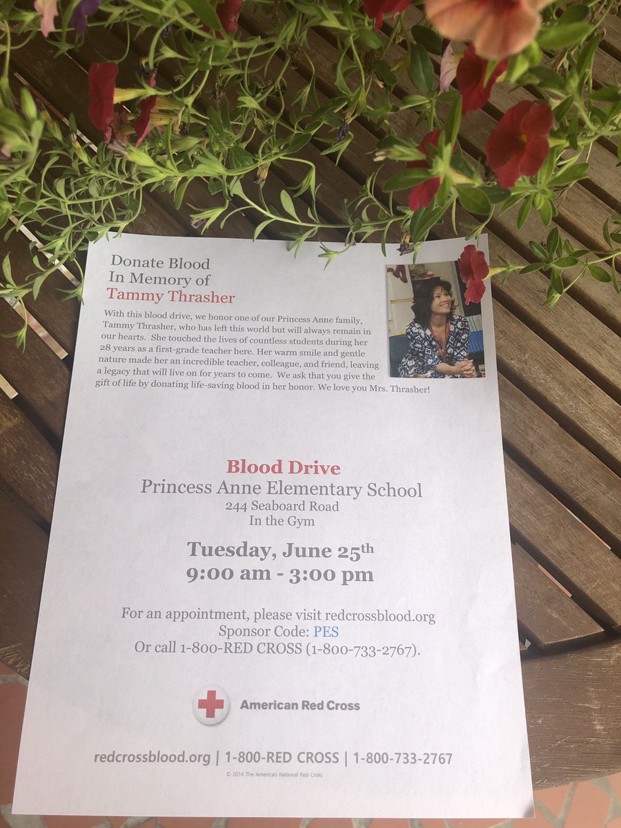 Amy Ellison tweet media