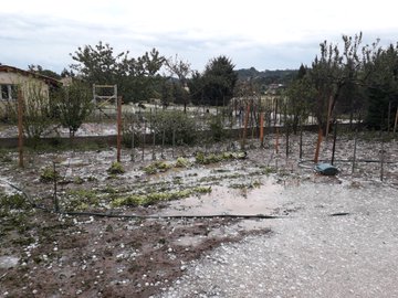 Ver imagen en Twitter