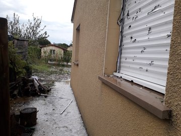 Ver imagen en Twitter