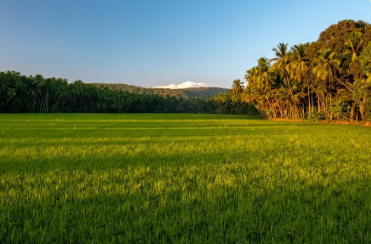 TourismGoa's tweet photo. Take a break from the beaches and explore the less discovered #Goa. Soul.travelling shares an off-beat guide to #Goa. #TourismByTourists2 #TourismByPros 
Read more: https://t.co/o6hNP6RIMh https://t.co/flgPq1c5XJ