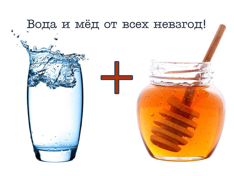 Вода с медом – универсальное средство для поддержания иммунитета
#кулинария #рецепты #MaxMenu
Популярность меда...