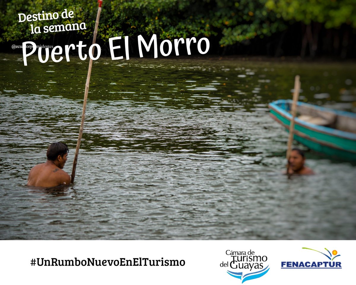 La práctica de la #pesca artesanal es uno de los principales sustentos para la economía local. #Conchas #ostras, patas de mula y #cangrejos son extraídos bajo supervisión del MAE
#RefugioDeVidaSilvestreManglaresElMorro
#DestinoDeLaSemana
#UnRumboNuevoEnElTurismo
<a href="/capturGuayas/">Camara de Turismo</a>