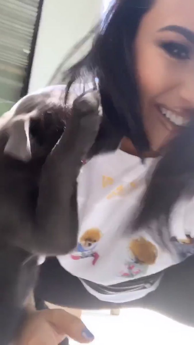 Demi Lovato Madrid🍒 tweet media