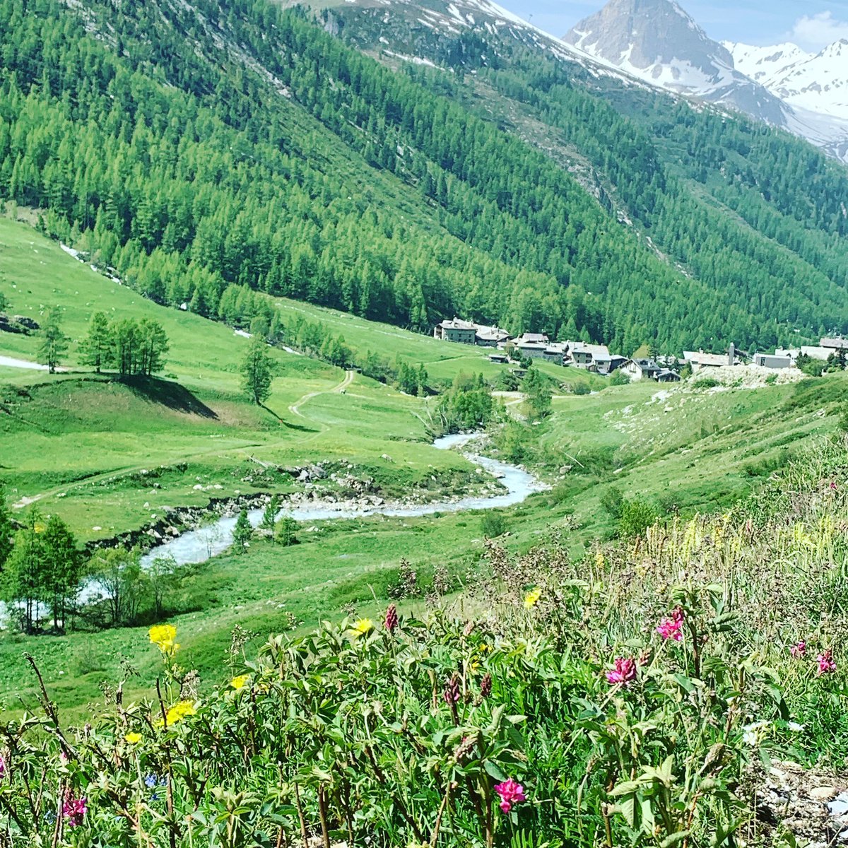 Europe Transfer tweet media