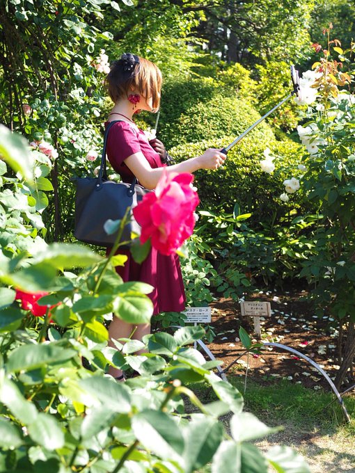 Twitterのコスプレ画像16