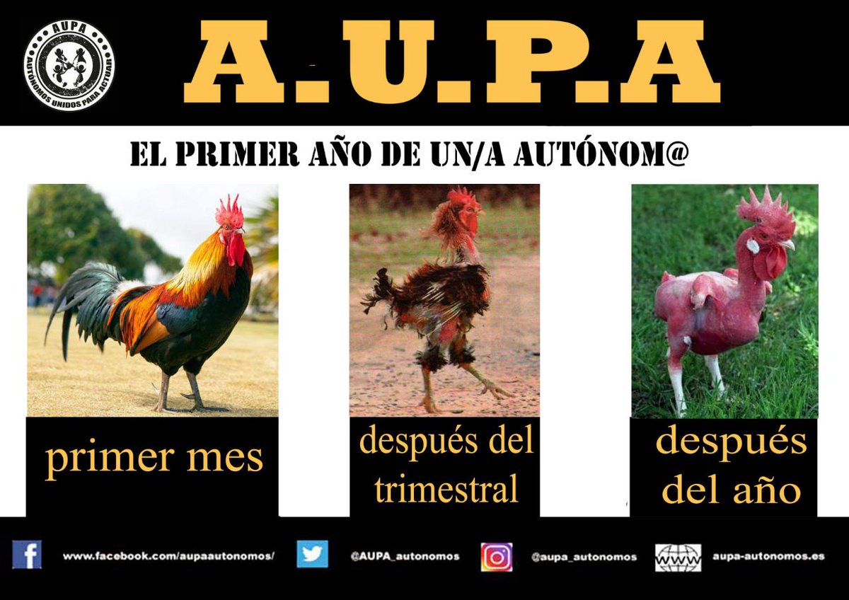 AUPA_Autonomos's tweet image. Desde Autónomos Unidos Para Actuar. Pedimos a todos los #Ayuntamientos que se constituyen hoy día 15, que desde ya se pongan a trabajar en las promesas lanzadas en campaña para los autónomos. La precariedad laboral de más de 3 millones de trabajadores autónomos, está en sus manos