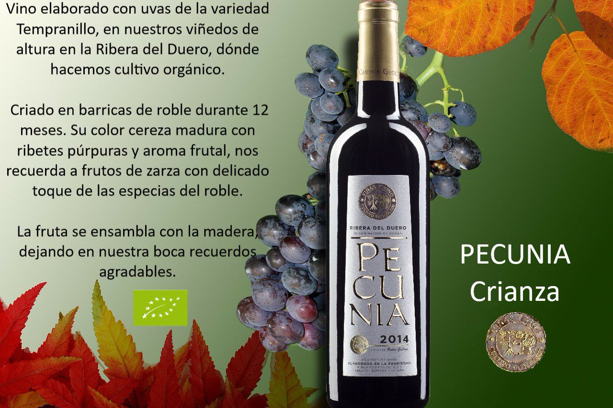 🔴🔴Vinos crianzas de Campos Góticos🔴🔴

Nuestros vinos tintos crianza #RiberaDelDuero se caracterizan por su longevidad, y su capacidad de evolucionar con los años dando lugar a vinos fantásticos. 

Pecunia Crianza 🍷

bodegacamposgoticos.com/vino-pecunia-2…

#VinoDelMes #Wines