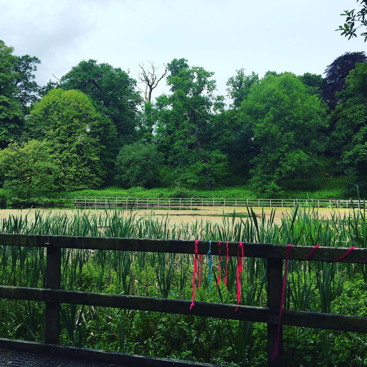 CarlyJones15's tweet photo. Spent an amazing day learning yesterday! Who knew i had a poet inside me...feed the imagination with magic, learn to be kind to yourself. A huge thank you to @rufusmufasa for your inspiration, it was a pleasure meeting you 💙 https://t.co/IWeduMlz0L