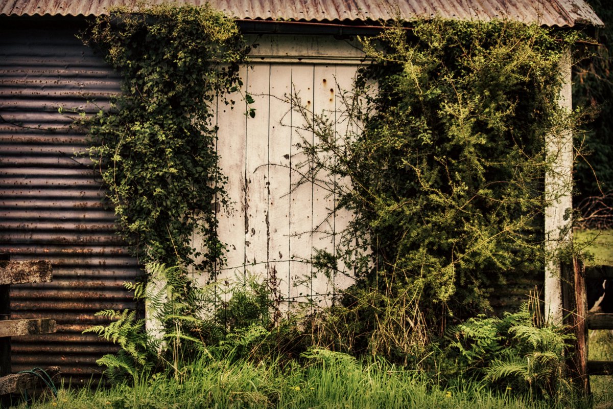 EnfocarPhoto's tweet image. Farmhouse Photo Print, Country Home Decor, New Zealand tuppu.net/f8ed6ef7 #Etsy #EnfocarPhotography #RusticWallDecor