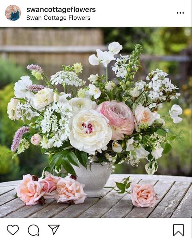 I have just booked onto the @swancottageflowers Autumn Jump Start grow your own cut flowers workshop I am so so excited- if you haven’t seen Zoe and Neil’s stories you really must They are so generous with their helpful tips and advice and their cut flow… bit.ly/2Ih2Rlr