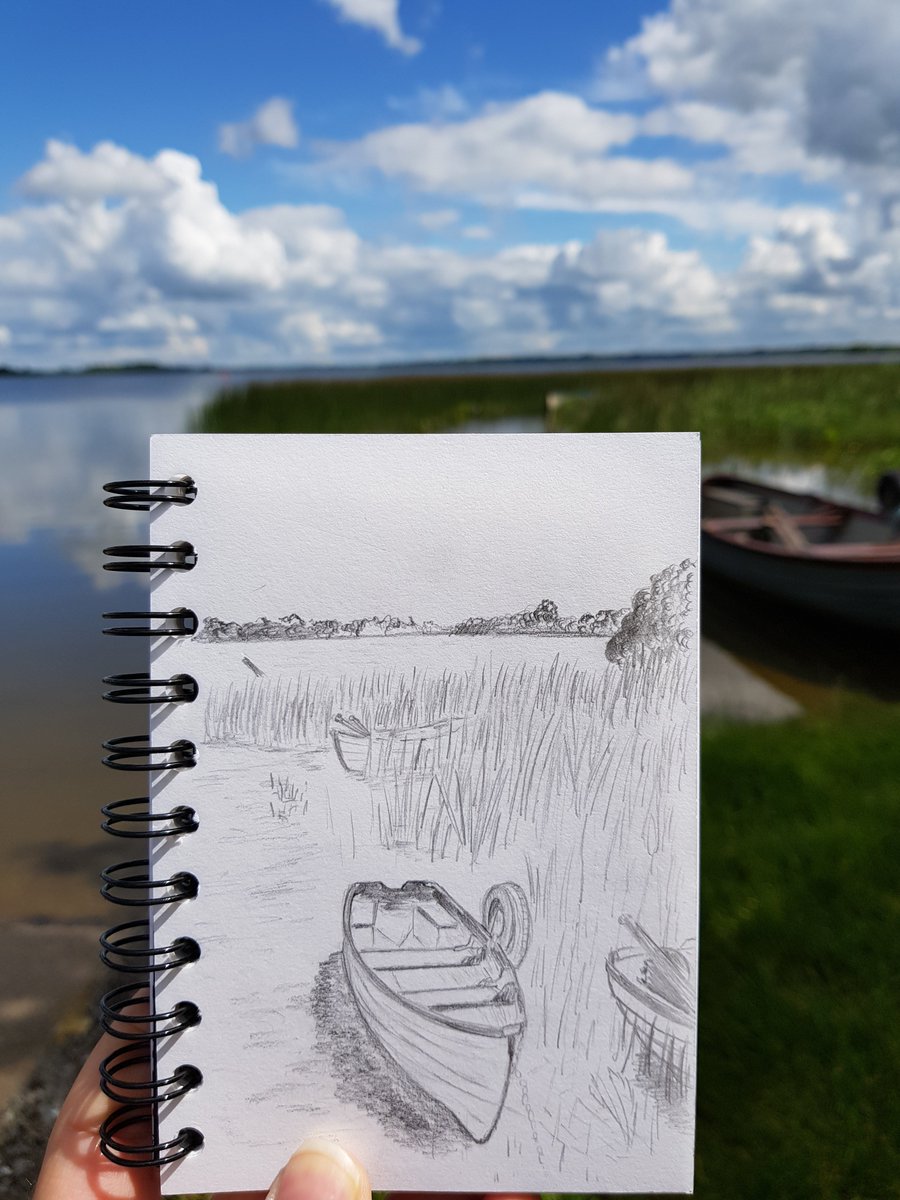 At the lake today. #SaturdayMotivation #loughennell #nature #scicomm 