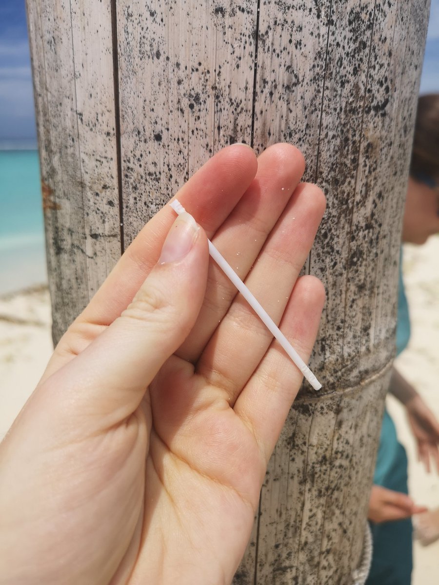 nostrawstand's tweet photo. Plastic in Paradise. Just a tiny fraction of plastic found on the beach today in Dhigurah, which is surrounded by an MPA. Just off the coast is a wilderness of turtles, whale sharks, dolphins and rays, all of which are extremely vulnerable to our obsession with single use plastic https://t.co/CcdbKaaZvB