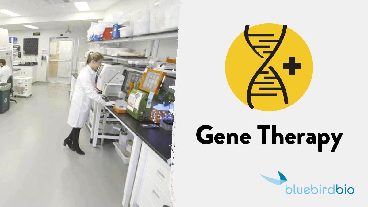 genetix_biotx's tweet photo. We believe in the transformative potential of #genetherapy & are so inspired by the excitement here at #EHA24 around this burgeoning technology! #RecodeForLife #EHA2019 https://t.co/27wYdUQcYH https://t.co/oCHiVnLfNP