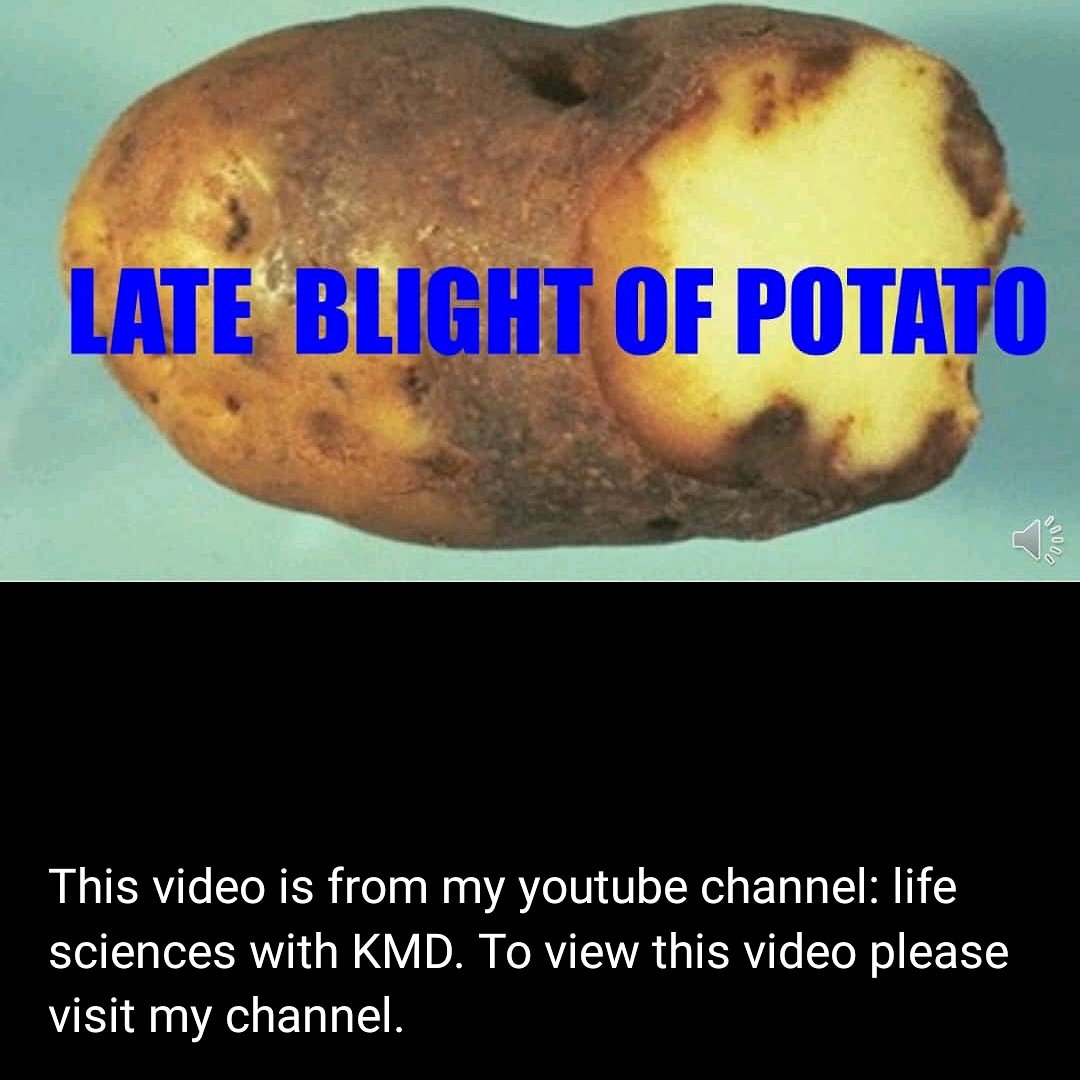 KmdWith's tweet image. 