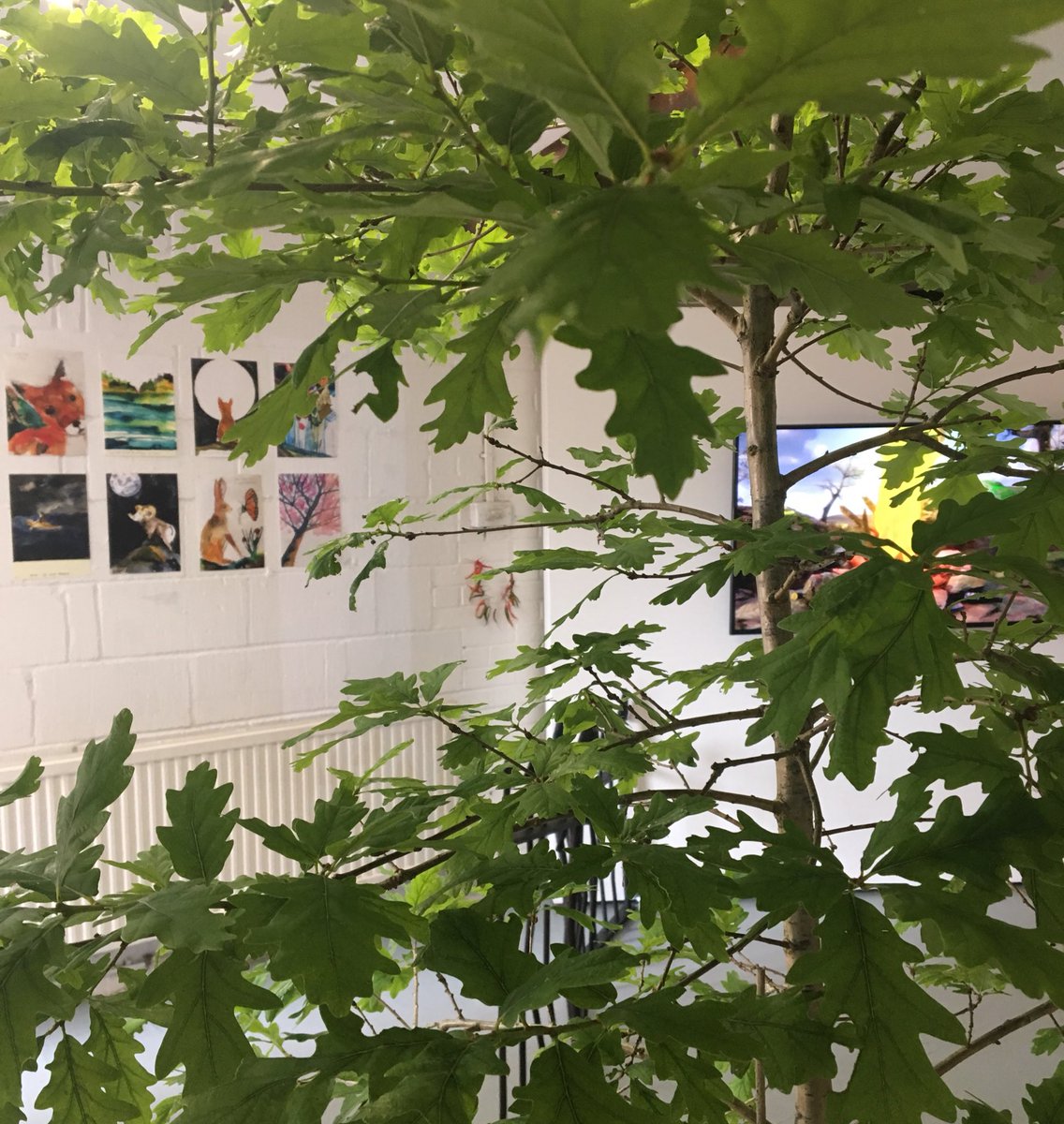 andyholden_GM's tweet photo. My gallery in Bedford is open today 12-6pm now showing - The Long Revolution. Open Saturdays until July 13th, 10 mins walk from Bedford station. With: Andrew Kotting,@chunkymark #kittyclark #beckybeasley #markbaumer #annachrystalstephens #ackroydandharvey @CultureDeclares https://t.co/5NlJ06U5fa