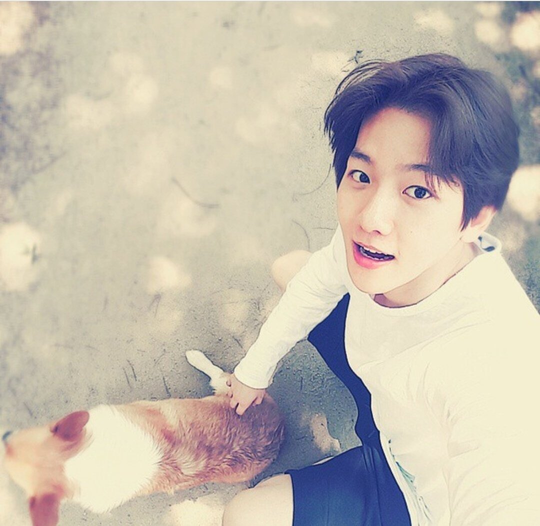 CB4016CB tweet picture