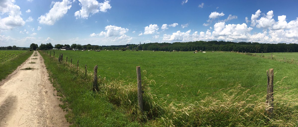 frank lemlijn (@lemlijnf) on Twitter photo 