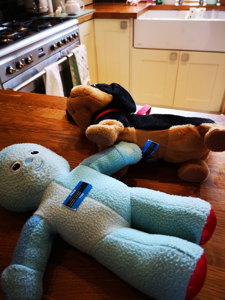 pdaveyelec's tweet image. My little apprentice has been hard at work this morning. You will be pleased to know Emily the dog and Iggle Piggle have passed their PAT test. Get in touch if you are interested in a quote.