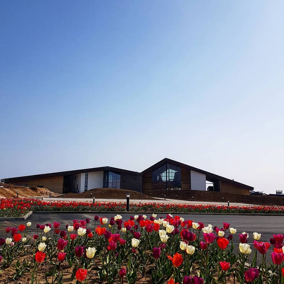 Geraldo's of Largs tweet media