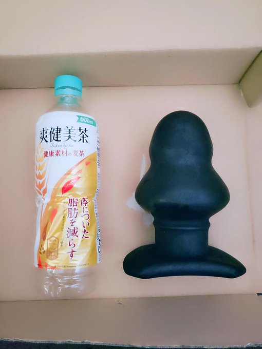 月曜日になるまでに100RTいったら(100人すらフォロワーいないけど&hellip;)  写真のボスシリコンストッパーⅨ⑼をお尻の穴に入れるまでオナ禁します。この貞操帯つけて &hellip; https://t.co/So7