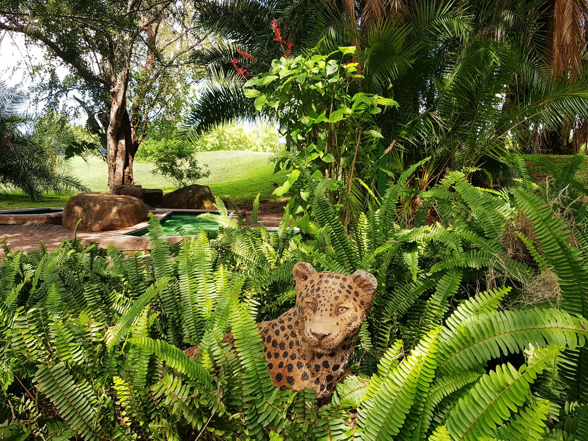 KPLodge's tweet image. Join us for a round of minature golf as well as fun things to spot 🏌️‍♂️ 🐆 Join us for a game or two by contacting us on +27 (0) 13 737 5000 or email kruger@legacyhotels.com #LegacyHotels