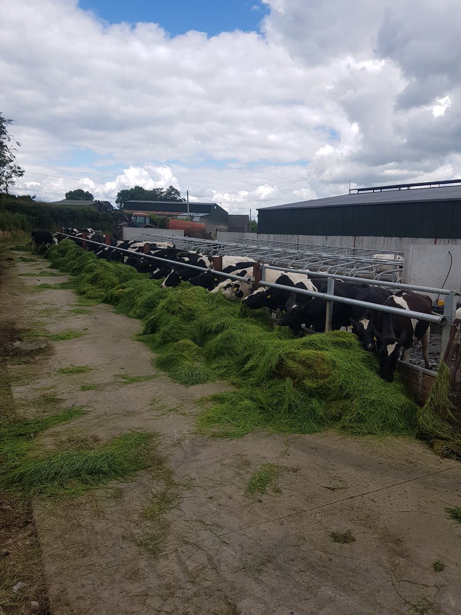 Sean Corby tweet media