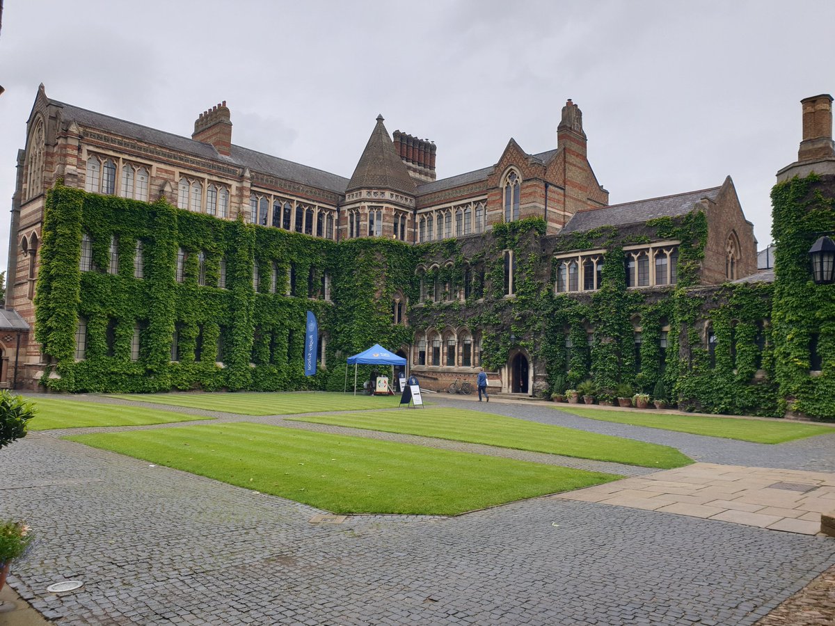 Michelle tweet media