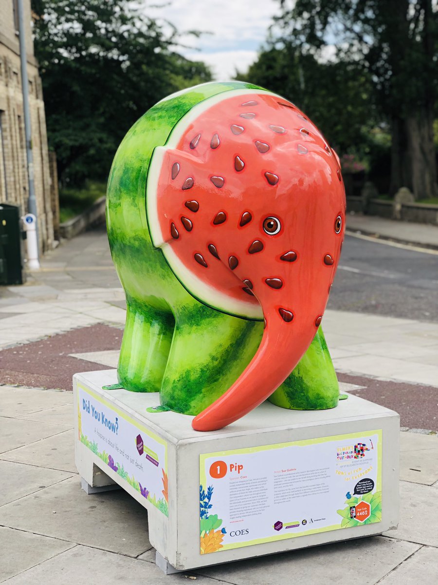 ElephantPip's tweet image. HELLO WORLD!👋 I’ve arrived on Norwich Road &amp;amp; I can’t wait to see you you all! I was installed in the early hours this morning by the amazing @stelizabethhospice team &amp;amp; have been visited by so many of you already!🐘🍉 @ElmerSuffolk19 #elmersbigparadesuffolk #tonsoffunforeveryone