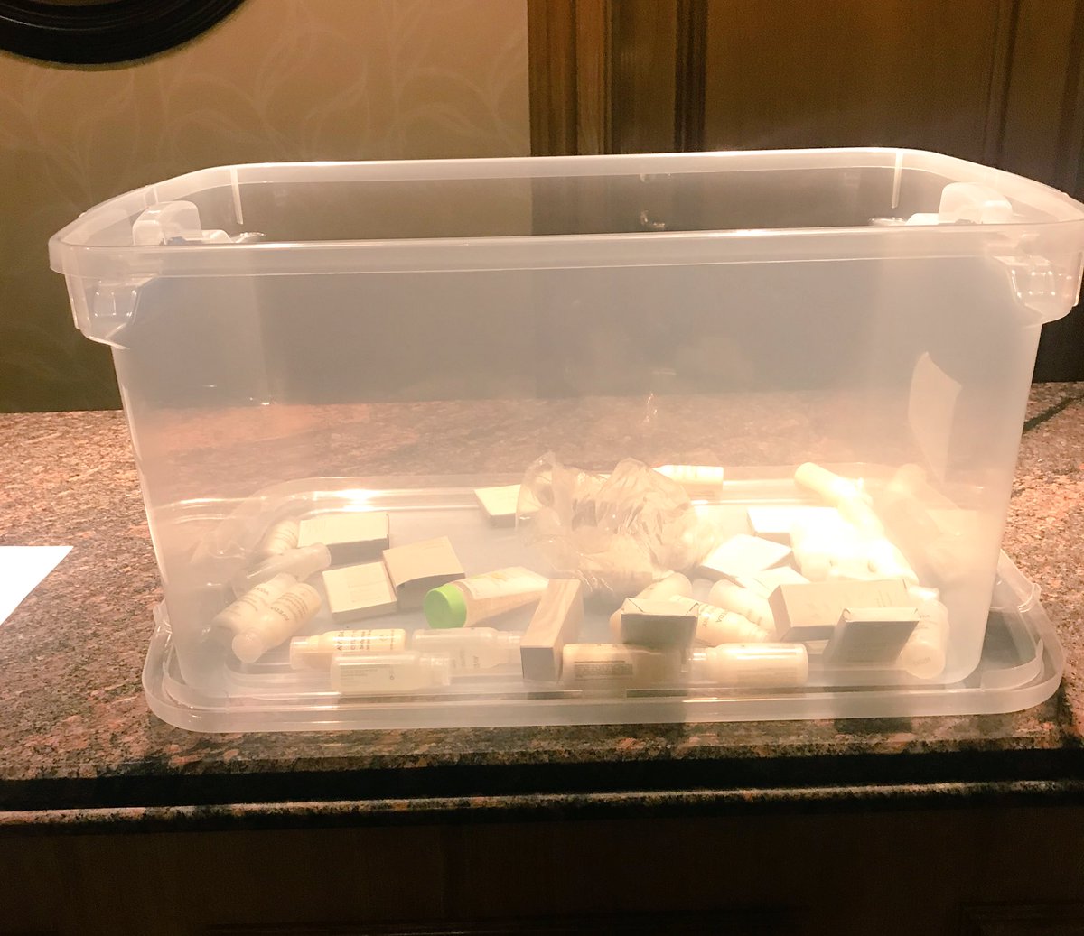 erinkaplan_'s tweet photo. as we close out our annual conference, my professional association, @HECMA_org, @HECMA_org, is collecting toiletries to donate to a local organization, because #kindsness & #doinggood is that easy #HECMA #highered #hecma2019 #studentaffairs #sapro https://t.co/RsBWPnWCO7