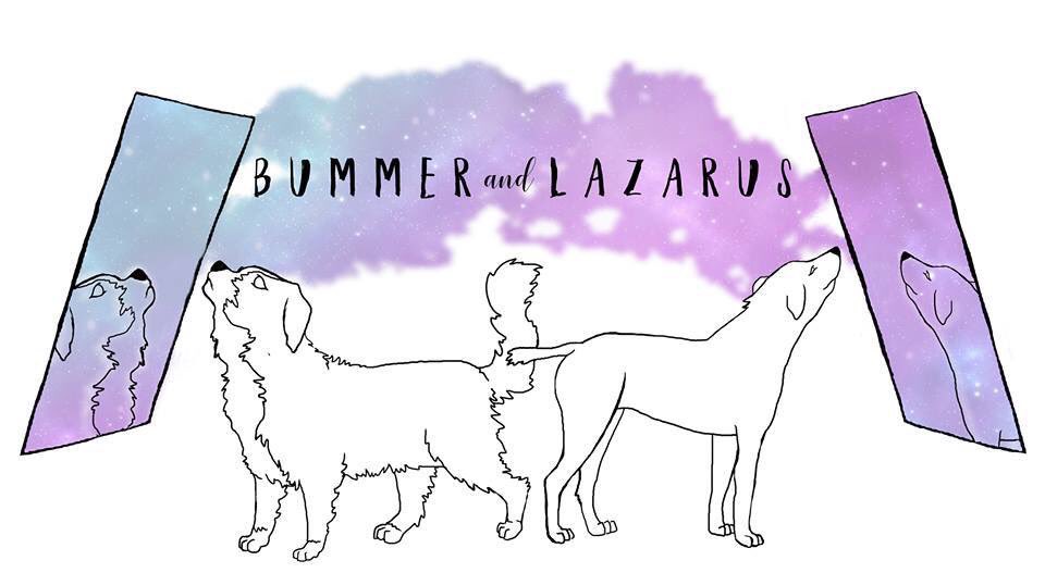 We can’t wait to see @BigEggTheatre on Monday 17th! ✨ Book your tickets for ‘Bummer and Lazarus’ here newtheatre.org.uk/?fbclid=IwAR14…