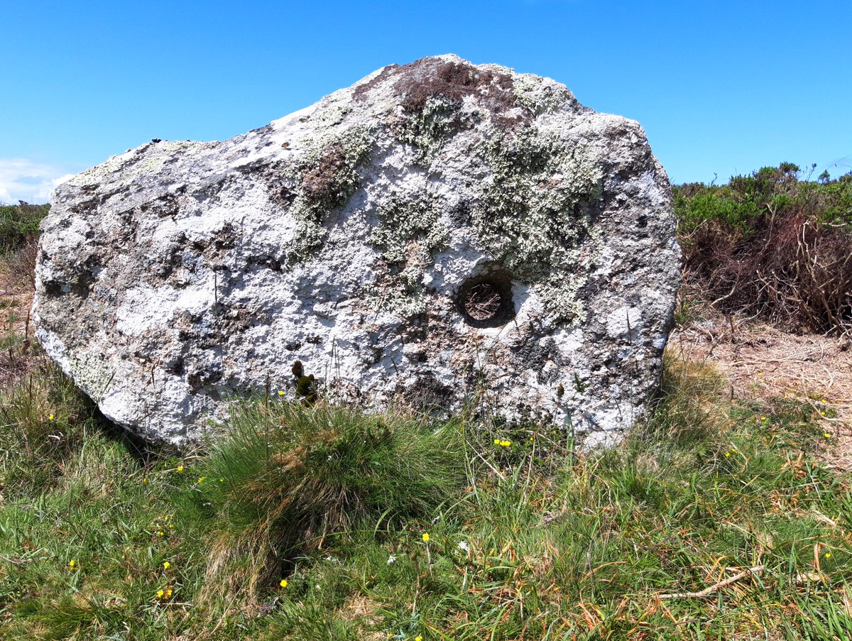 Tregeseal Holed Stones, near Carn Kenidjack. 5 stones, 4 with holes and 3 seemingly aligned to a nearby barrow. Very close to Tregeseal Stone Circle, cists, entrance graves, the lot. Much speculation on purpose (handfasting?) but nobody's really sure. #PrehistoryOfPenwith