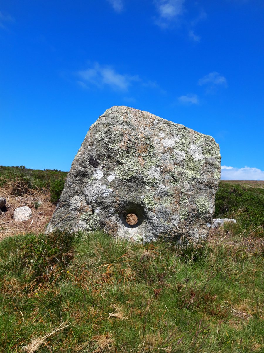 Tregeseal Holed Stones, near Carn Kenidjack. 5 stones, 4 with holes and 3 seemingly aligned to a nearby barrow. Very close to Tregeseal Stone Circle, cists, entrance graves, the lot. Much speculation on purpose (handfasting?) but nobody's really sure. #PrehistoryOfPenwith