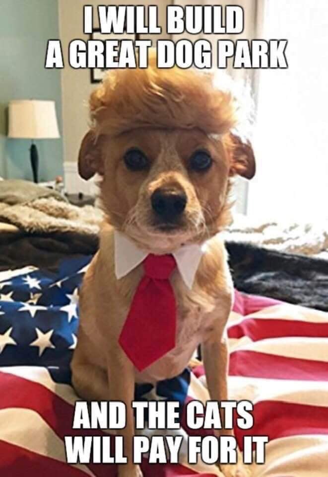 skiplacombe's tweet photo. #MakeAmericaBarkAgain https://t.co/BxhOUwdmOu