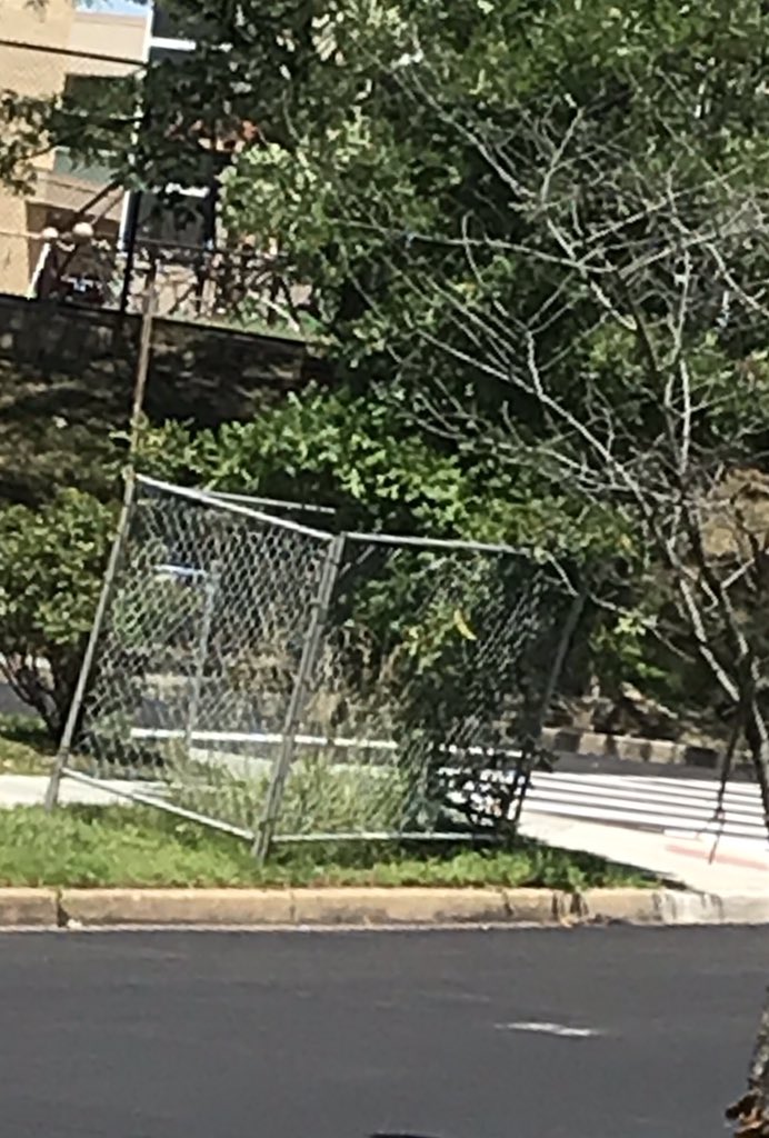 dccnderela's tweet photo. @DDOTDC how long does this tree have to be in bondage? It’s been a year now when they put it up to install a new sidewalk ramp. #freethetree https://t.co/CCP7hXZ5lB