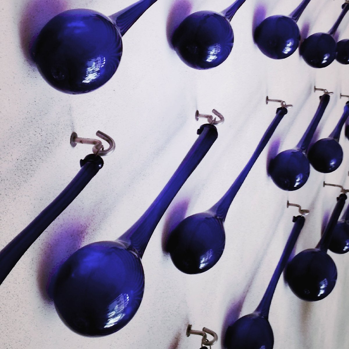 Kasperowicz_P's tweet image. Łzy z drzewa świętych.

#teardrop #greattree #łzy