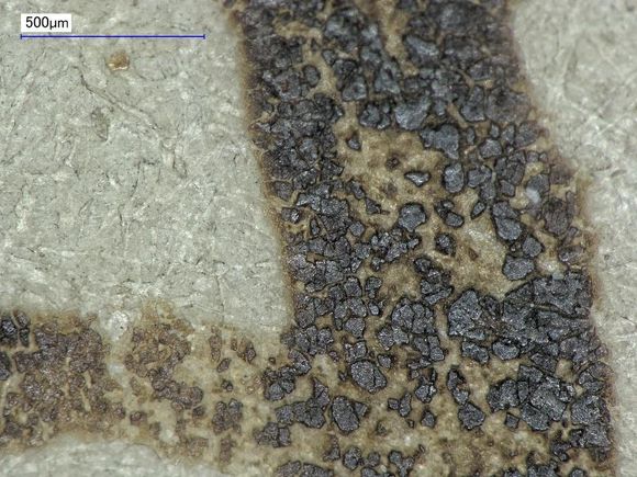 Christina Duffy (@duffychristina) on Twitter photo #OnThisDay in 1215 #MagnaCarta was agreed to by King John. As part of our 800th anniversary work in 2015 we used #microscopy to assess the ink's condition britishlibrary.typepad.co.uk/collectioncare… #OnThisDay in 1215 #MagnaCarta was agreed to by King John. As part of our 800th anniversary work in 2015 we used #microscopy to assess the ink's condition britishlibrary.typepad.co.uk/collectioncare…