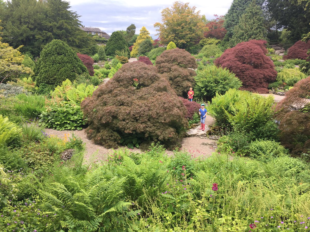 RC Brady tweet media